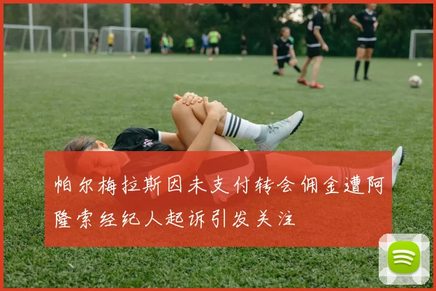 帕尔梅拉斯因未支付转会佣金遭阿隆索经纪人起诉引发关注